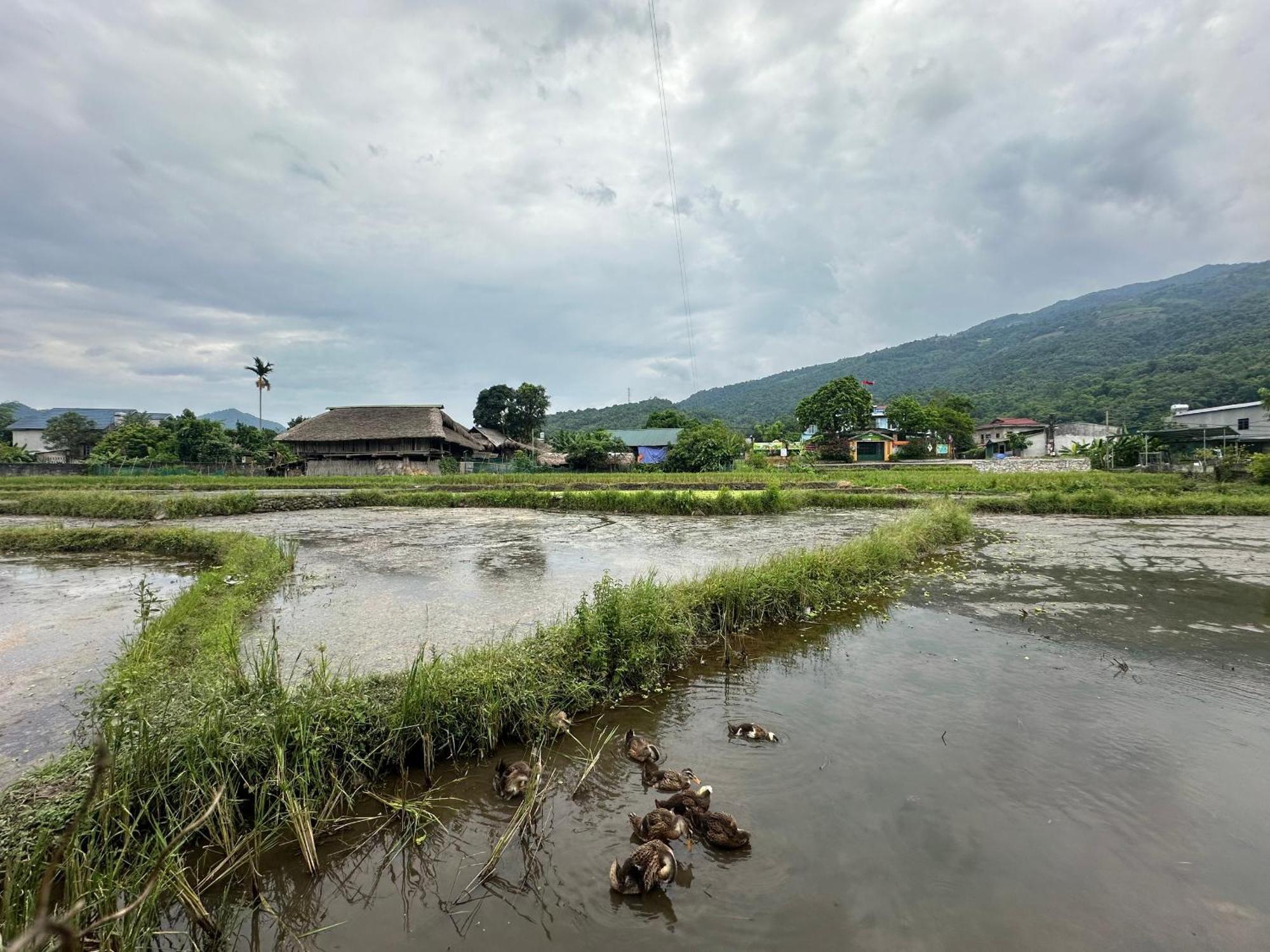 Ha Giang Eco Bungalow Kültér fotó